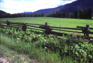 Traditional farm scene south of Mabel Lake.  Photo credit:  Peter LaGrandeur  July 1999.