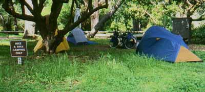 Pismo Beach Hiker Biker Campground.